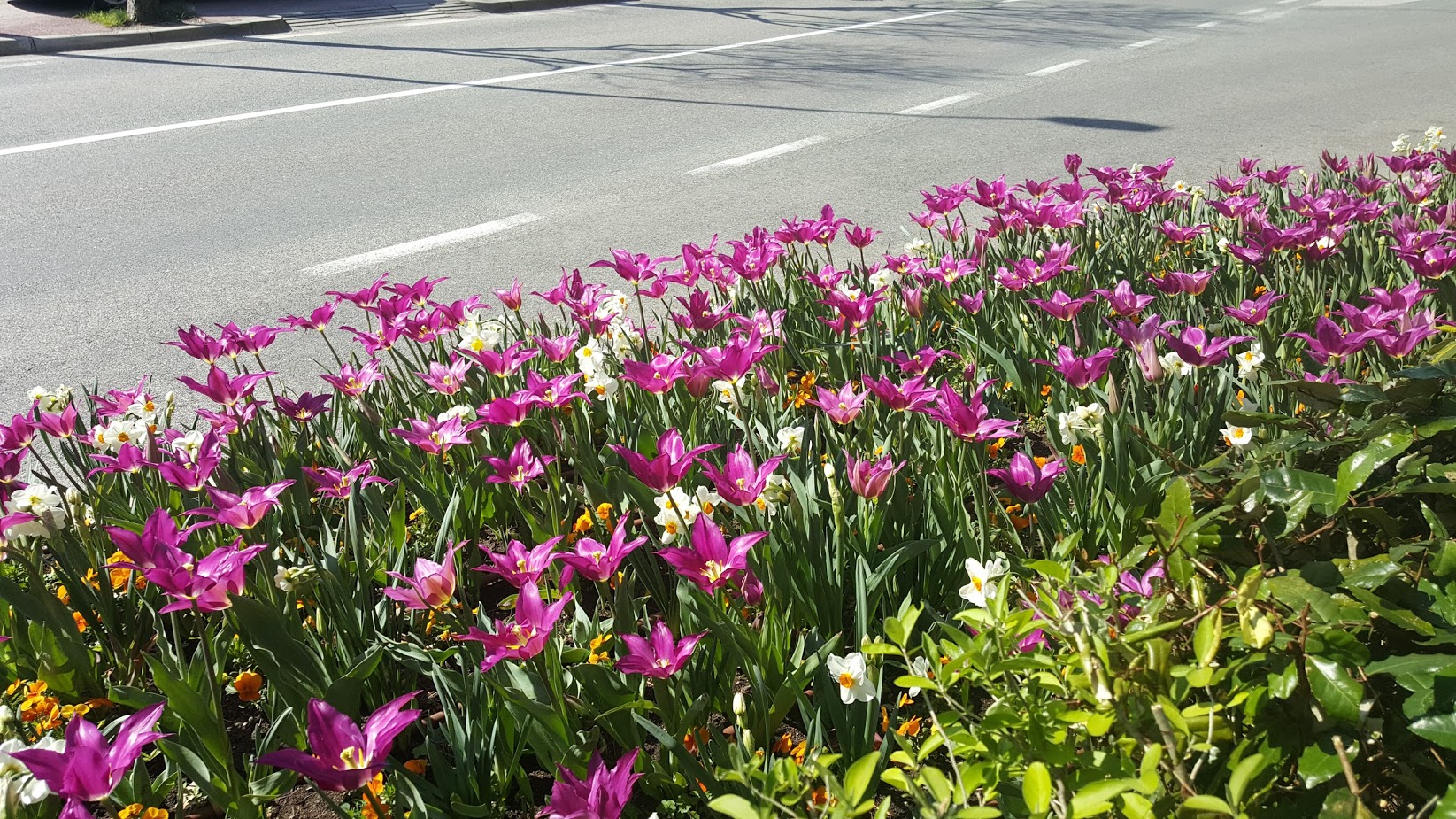 Uz magistralu – proljeće 2017.
