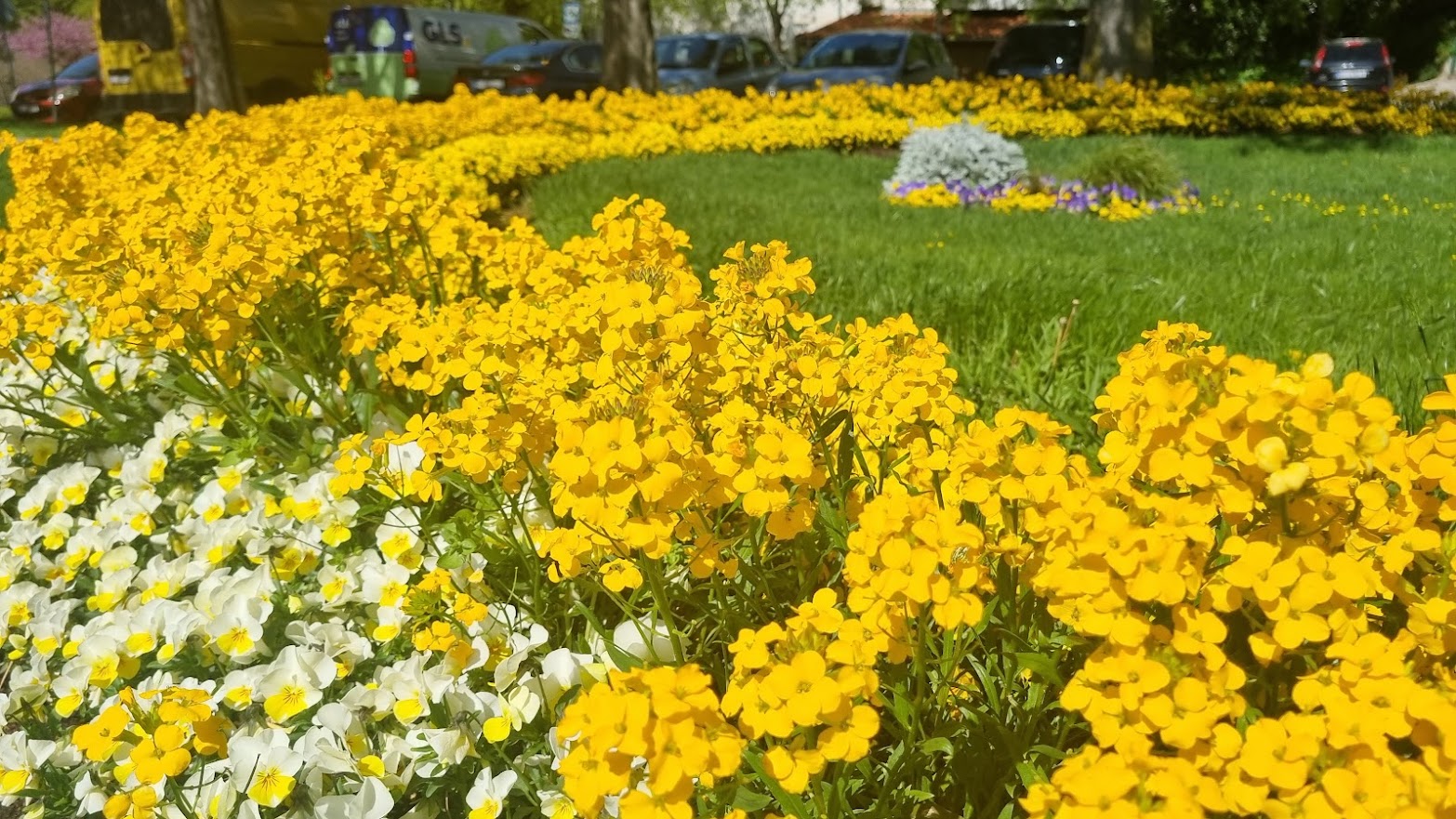 Cvjetne gredice – proljeće 2022.