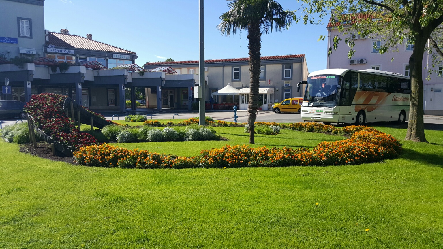 Proljetnice 2015-2016