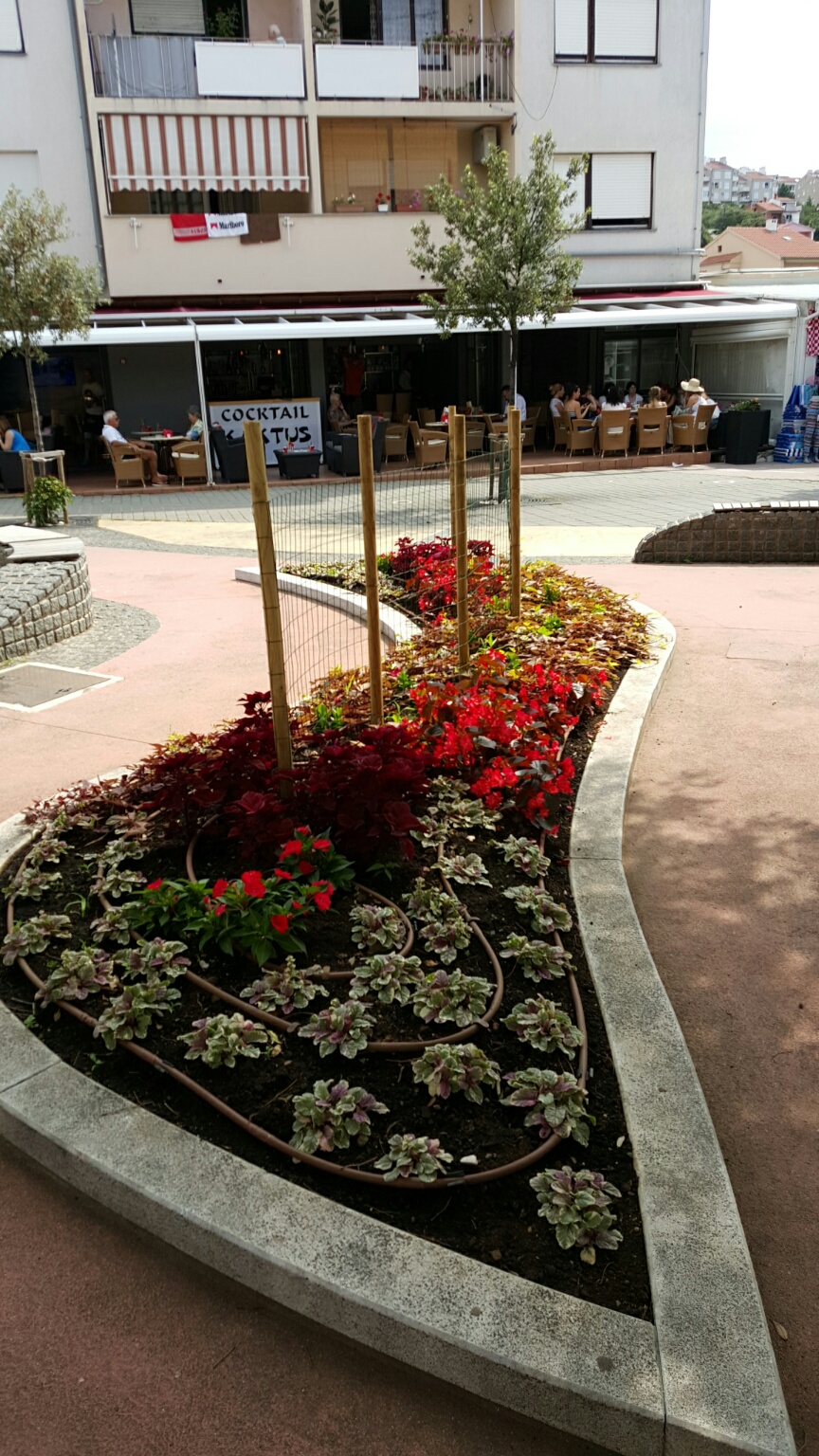 Ljetnice 2016. godine