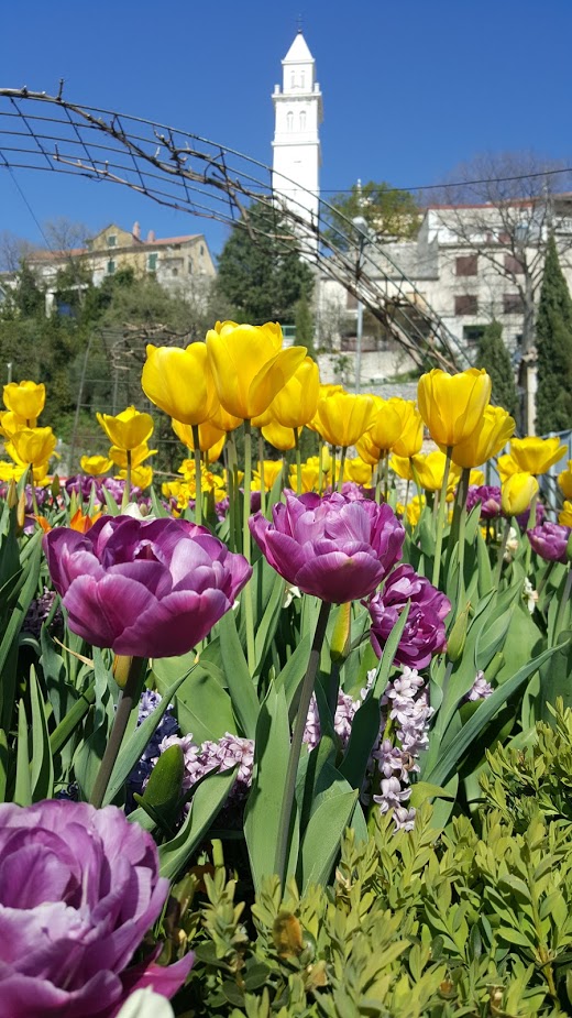 Kružni tok – proljeće 2017.