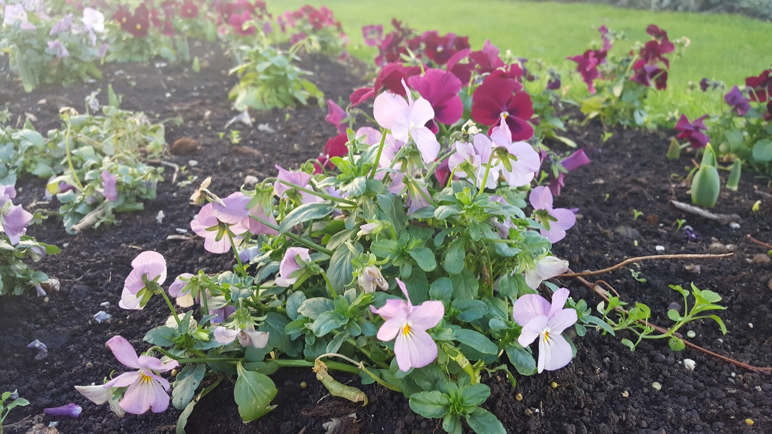 Zima 2017. – 2018.