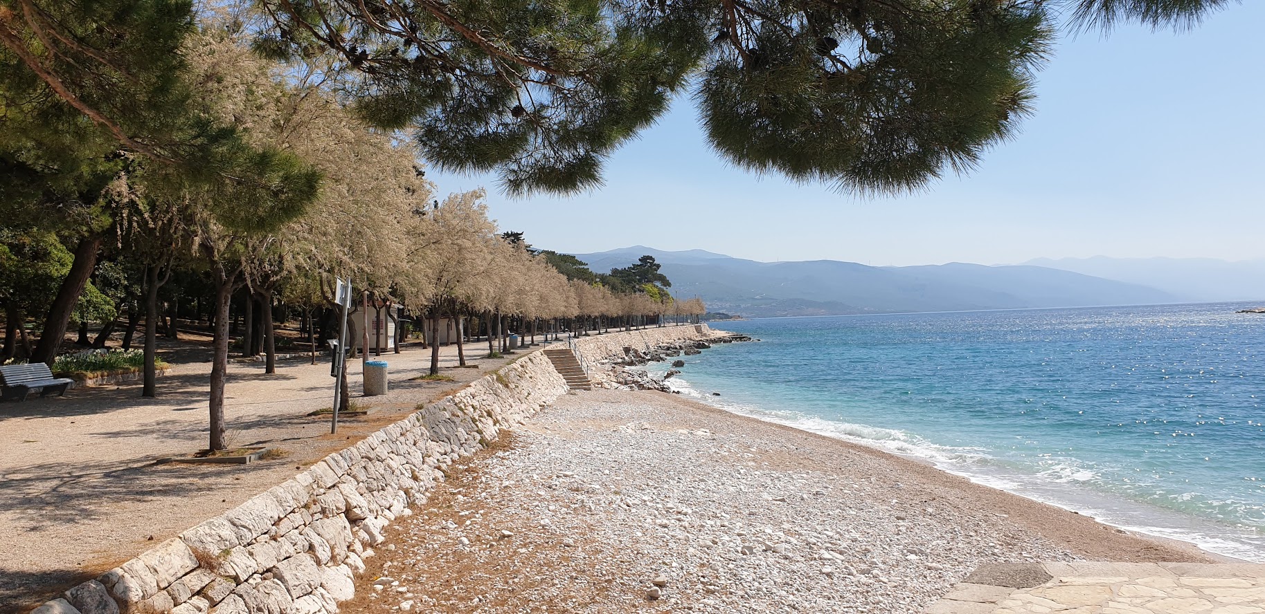 Tamarisi na Šetalištu dr. Franje Tuđmana