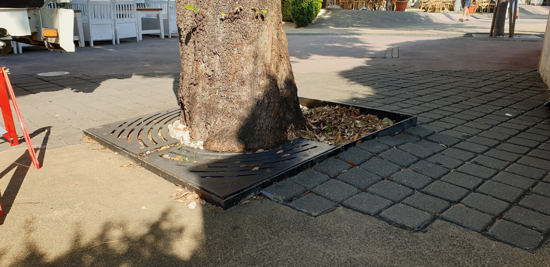 Gumena podloga oko stabala na korzu