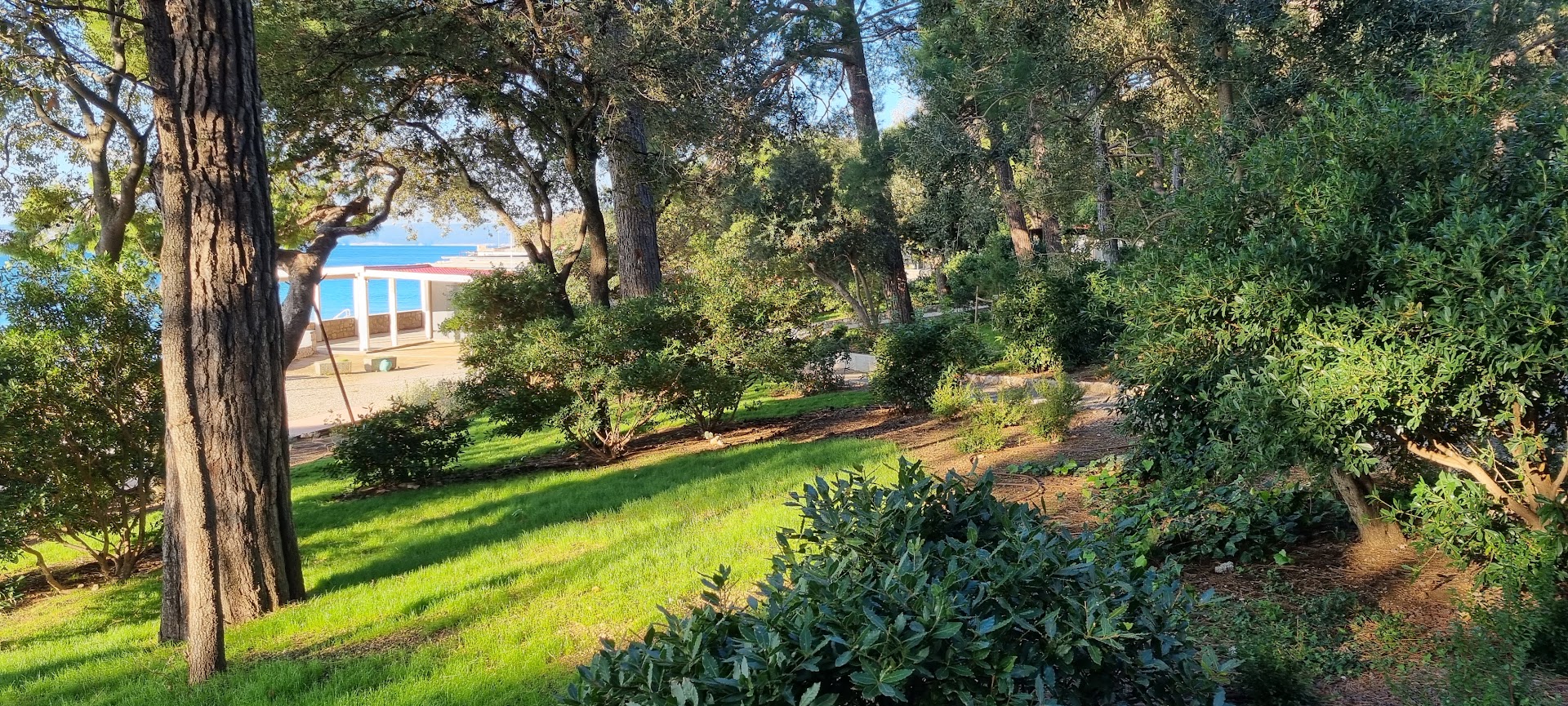 Travnjak u parku Ivana Mažuranića