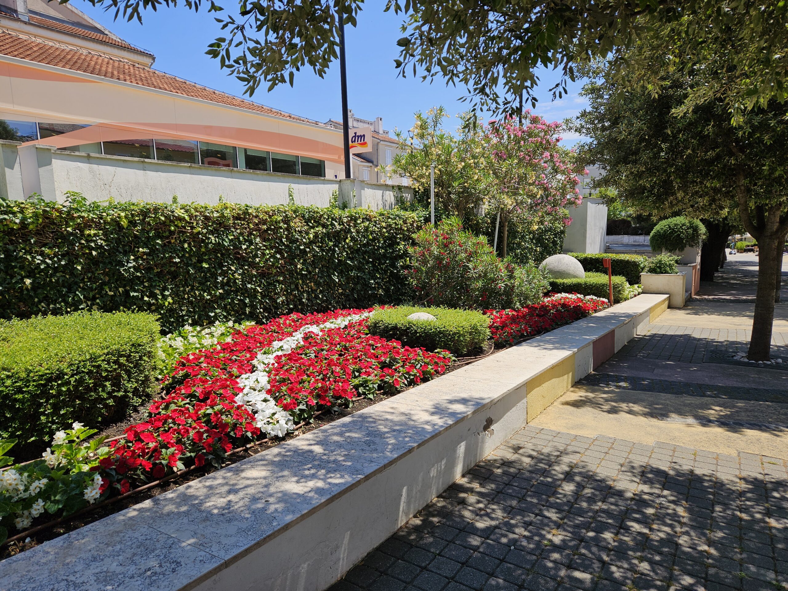 Sezonsko cvijeće – ljeto 2023. godine