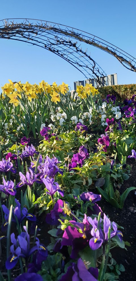 Kružni tok – 2020.