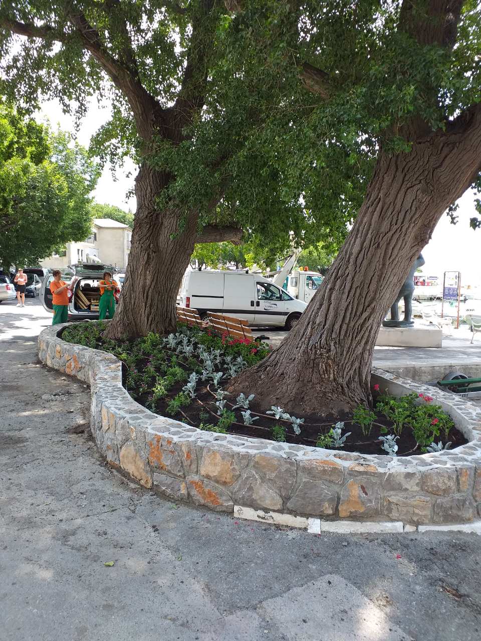 Klenovica – nova cvjetna gredica 2019.