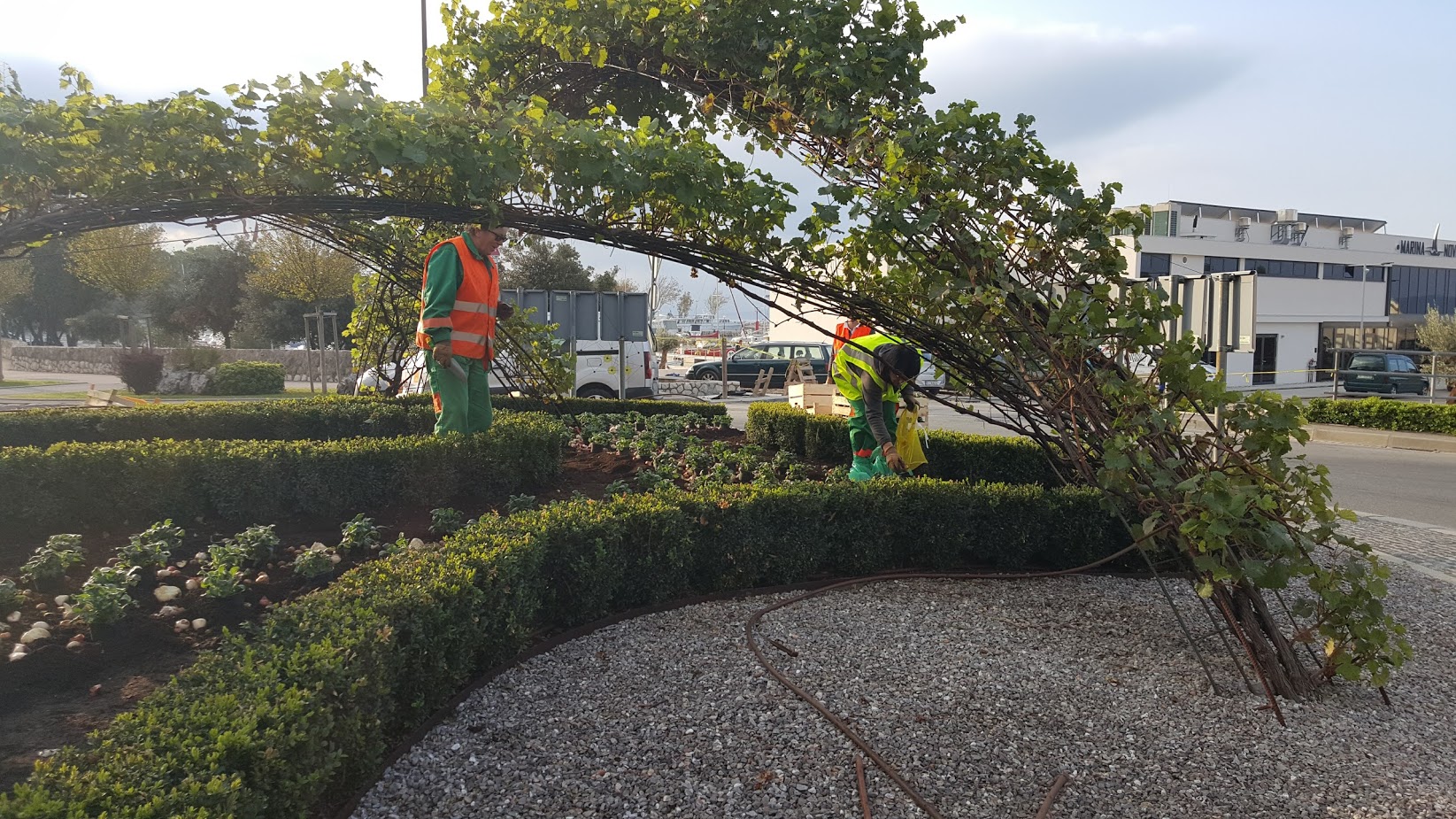 Sadnja proljetica 2017. – 2018.