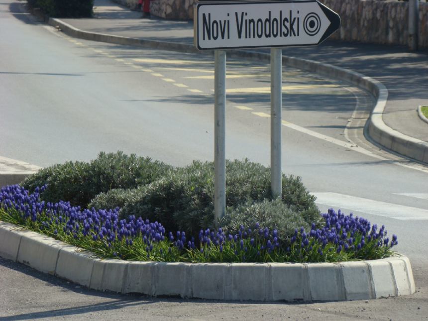 Lukovice koje ostaju trajno