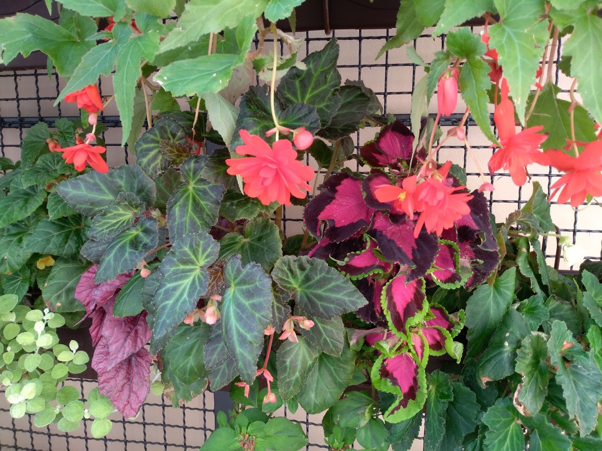 Okolotorno 2018. godine