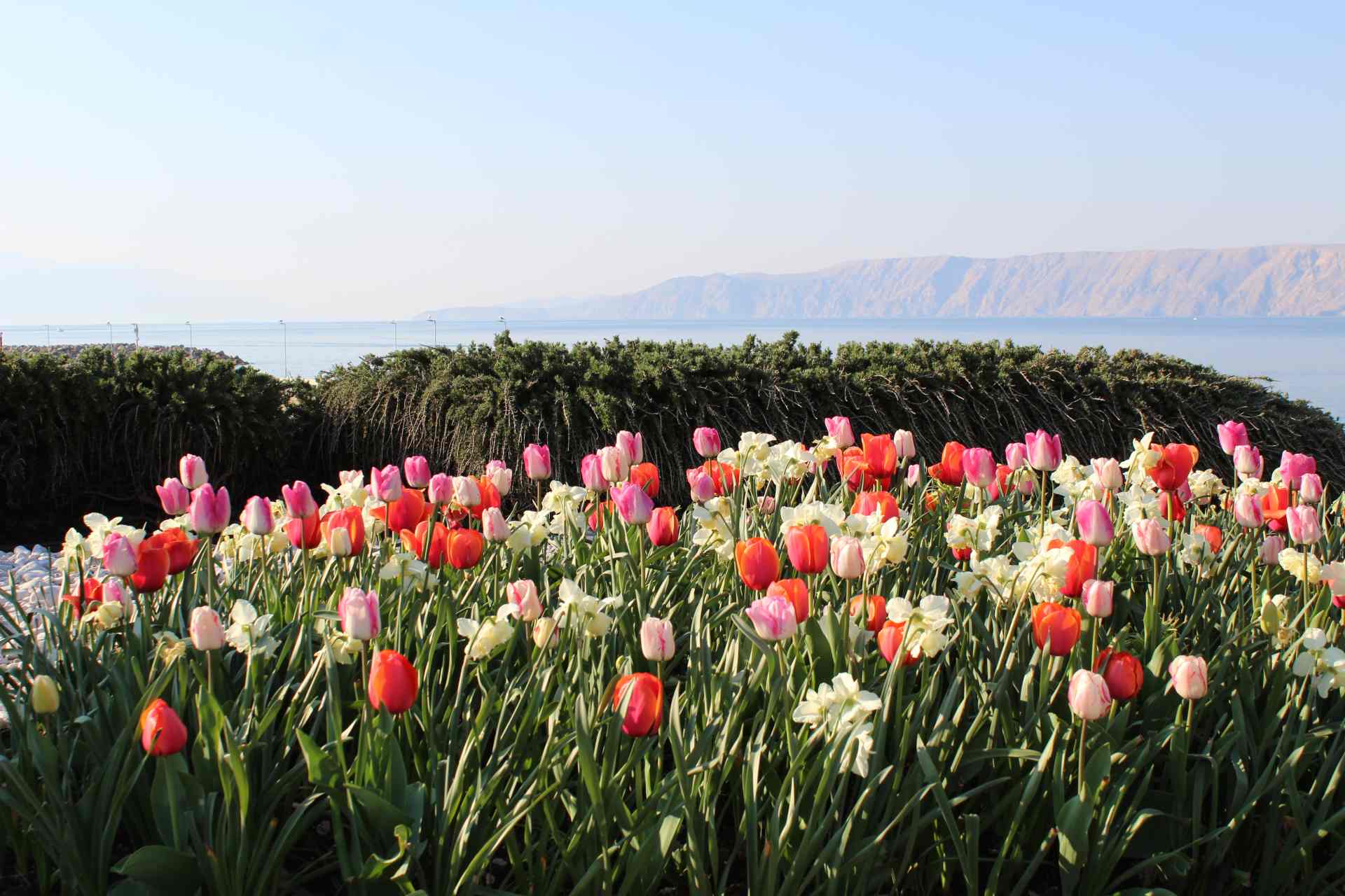 Obala Petra Krešimira IV – proljeće 2020.