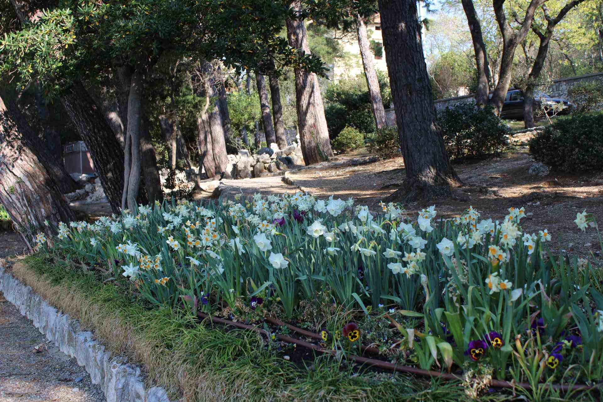 Park Ivana Mažuranića – proljeće 2020.