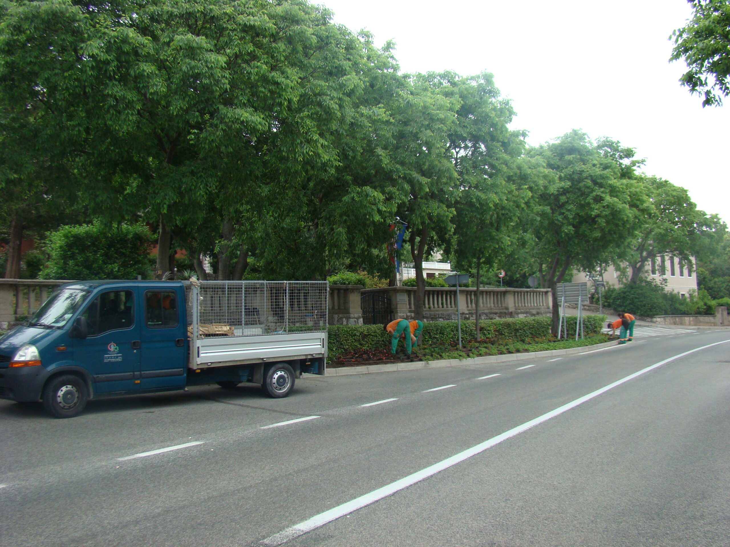 Sadnja ljetnica 2015.